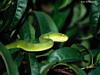 miniatura_80 copia